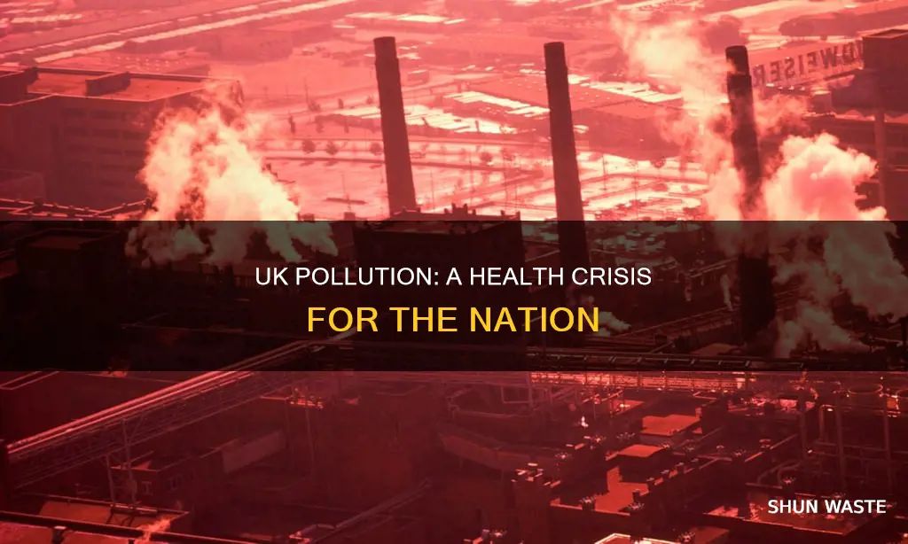 how are people in the uk being affected by pollution