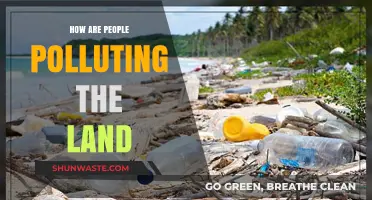 Human Impact: Land Pollution and Its Causes
