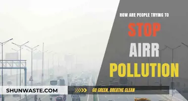 Innovative Strategies to Combat Air Pollution