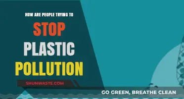 Battling Plastic Pollution: Strategies for a Greener Tomorrow