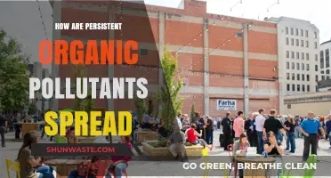 Organic Pollutants: How They Spread and Persist