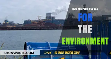Pesticides' Hidden Toll: Environmental Damage and Ecosystem Disruption Explained