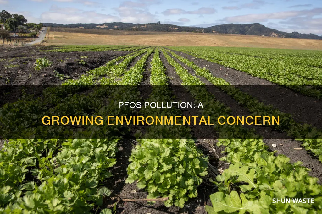 how are pfoa polluting the environemtn