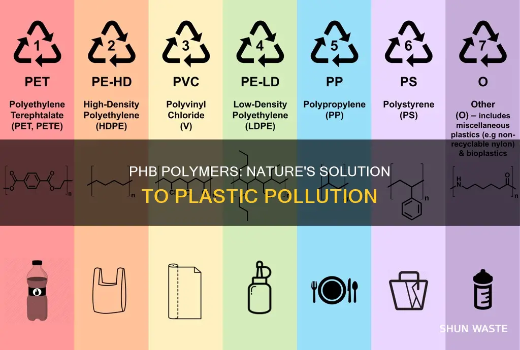 how are phb polymers tackling plastic pollution