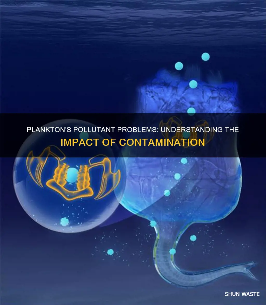 how are plankton affected by pollutants