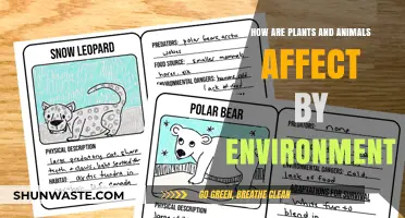 Environmental Impacts: How Plants and Animals Adapt and Survive