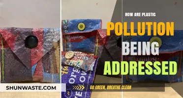 Addressing Plastic Pollution: Strategies and Solutions
