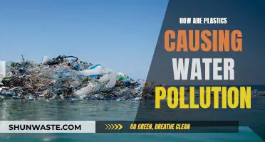 Plastics' Toxic Reach: How They Contaminate Our Waterways