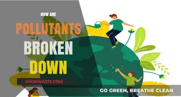 Nature's Cleanup: Breaking Down Pollutants