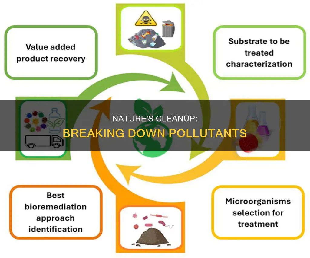 how are pollutants broken down
