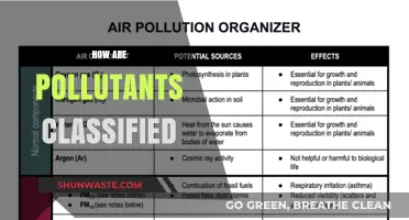 Classifying Pollutants: Understanding the Different Types of Contaminants