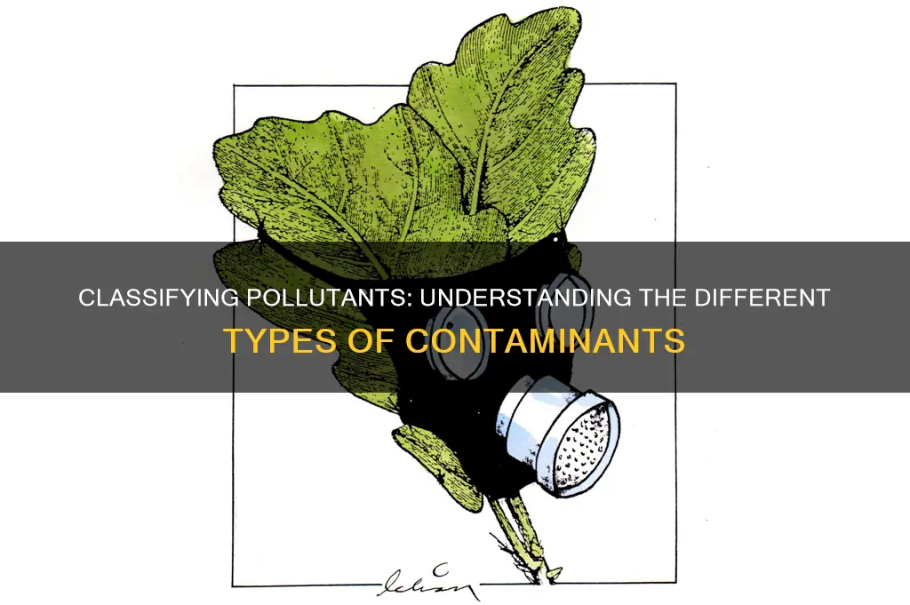 how are pollutants classified