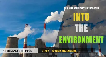 Human Impact: Pollutants Invade Our Environment