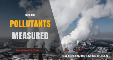 Measuring Pollutants: Techniques and Tools for Environmental Monitoring