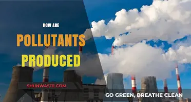 Sources of Pollutants: A Comprehensive Overview