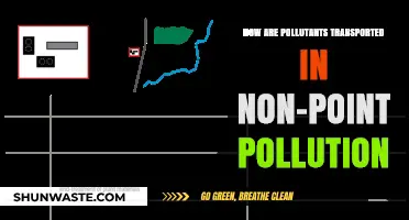 Understanding Non-Point Pollution: Transporting Pollutants in the Environment