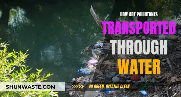 Unveiling the Journey: How Pollutants Travel Through Waterways