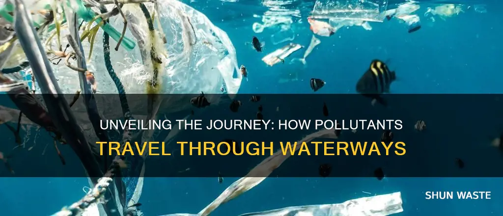 how are pollutants transported through water