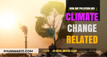 Climate Change and Pollution: A Complex Relationship