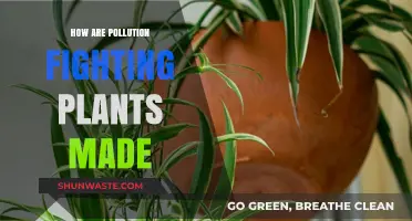 Plants: Pollution Fighters — How Are They Made?
