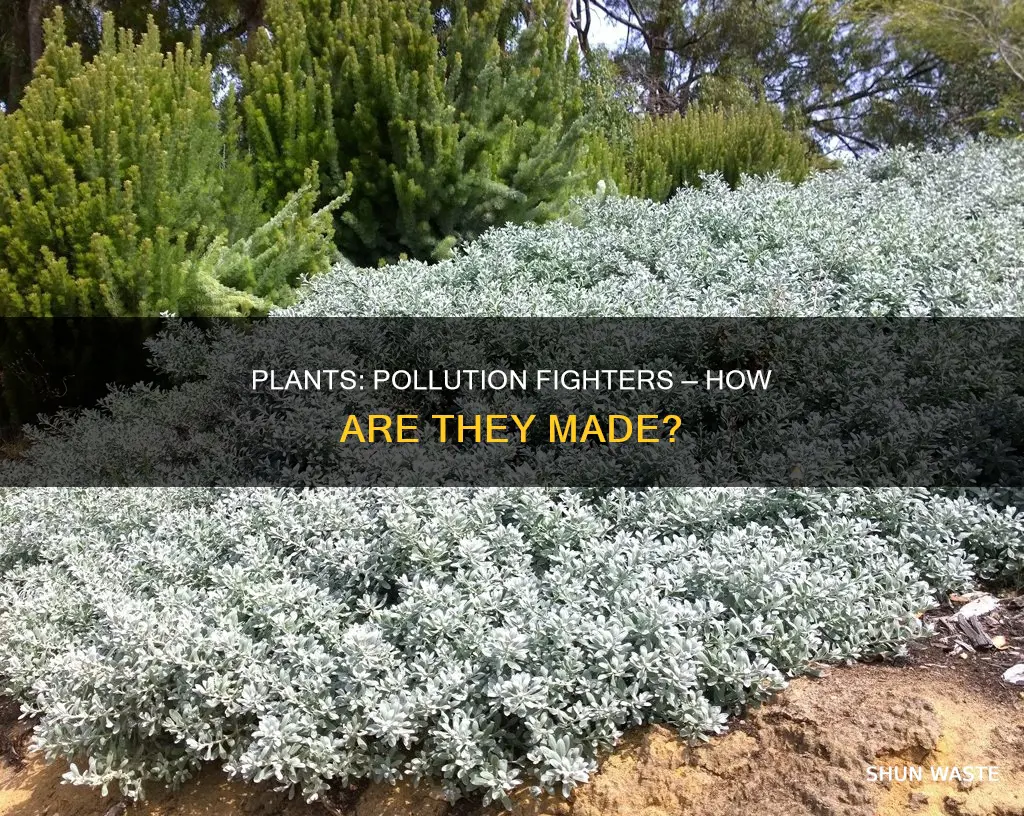 how are pollution fighting plants made