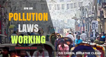 Pollution Laws: Effective or Not?