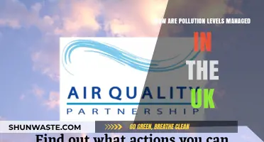 UK Pollution Management: Strategies and Challenges