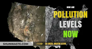 Pollution Levels: Current State and Global Trends