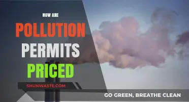 Pollution Permits: Pricing and Impact