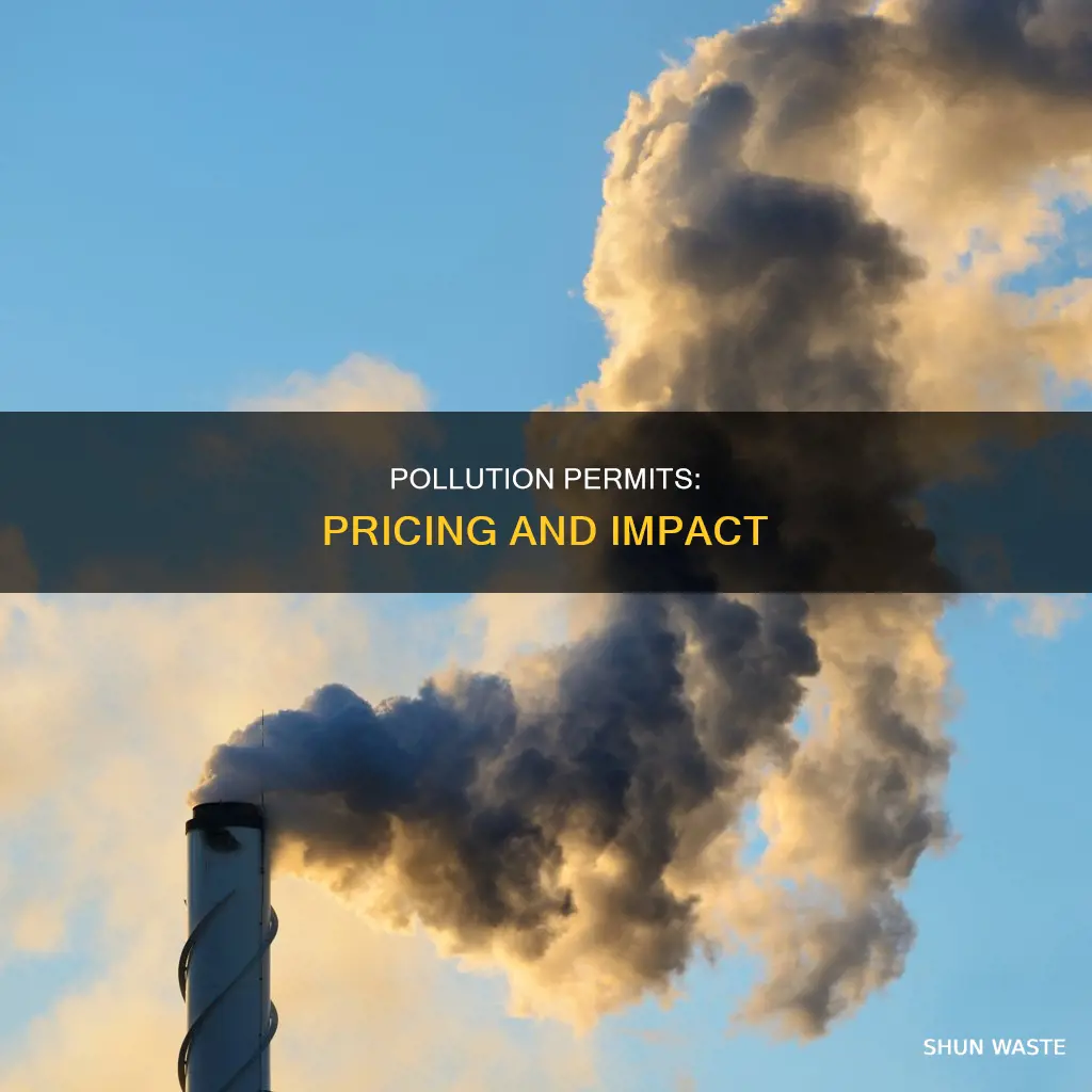 how are pollution permits priced