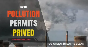 Pollution Permits: Pricing and Impact