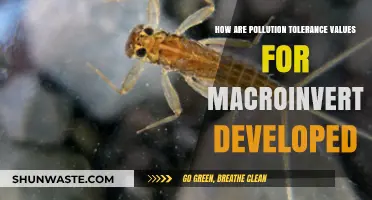 Developing Pollution Tolerance Values for Macroinvertebrates