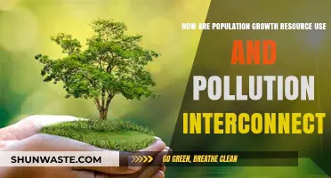 The Interplay of Population, Resources, and Pollution