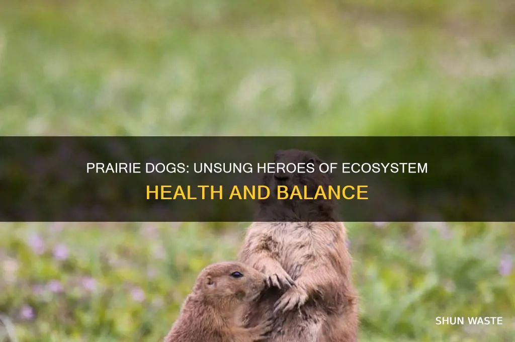 how are prarie dogs good for the environment