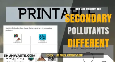Primary vs. Secondary Pollutants: What's the Core Difference?
