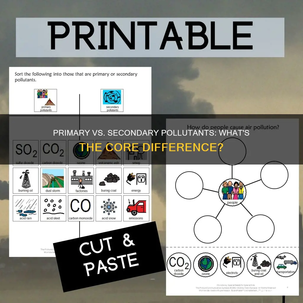 how are primary and secondary pollutants different