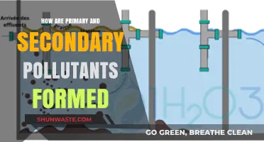 Understanding Primary and Secondary Pollutant Formation