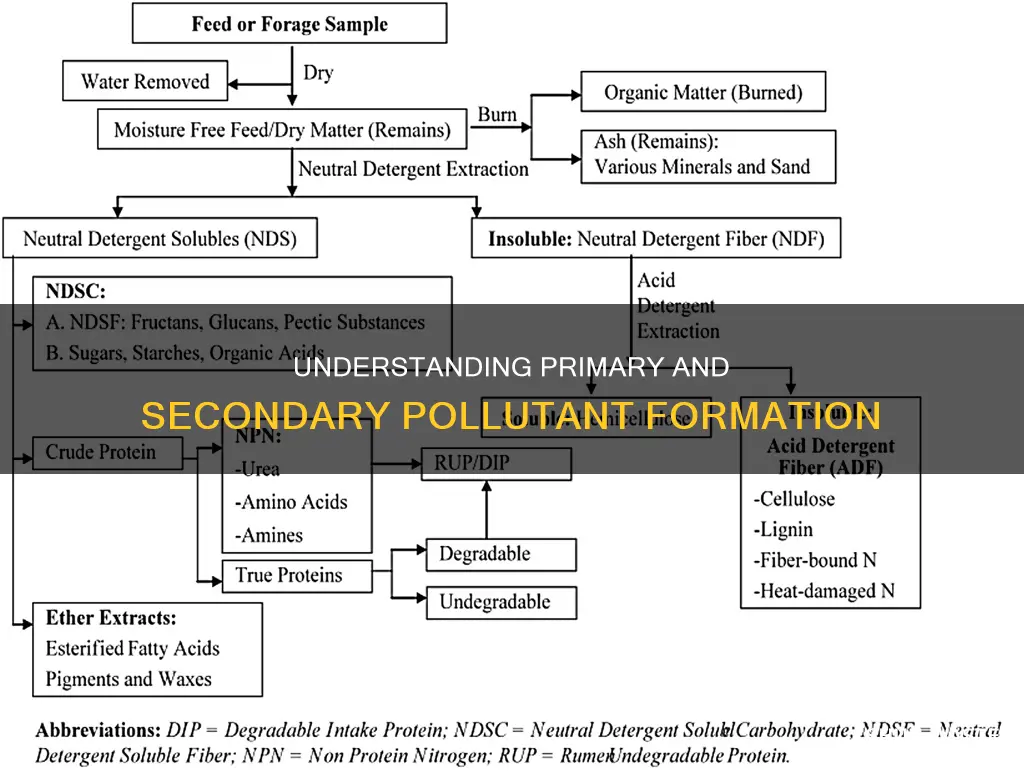 how are primary and secondary pollutants formed