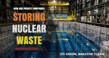 Private Sector Solutions: How Companies Are Storing Nuclear Waste