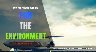 Private Jets' Environmental Impact: Luxury Travel's Hidden Carbon Footprint