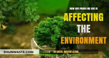 Everyday Products, Environmental Impact: How Our Choices Shape the Planet