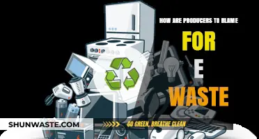 Producers' Role in the Growing E-Waste Crisis: Who's Responsible?