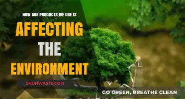 Everyday Products, Environmental Impact: Uncovering the Hidden Costs of Consumption