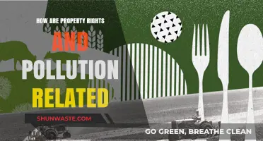 Pollution and Property Rights: A Complex Relationship