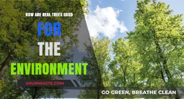Real Trees: Nature's Powerhouses for a Healthier, Greener Environment