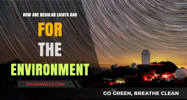 Regular Lights' Hidden Environmental Impact: Energy Waste and Pollution Explained