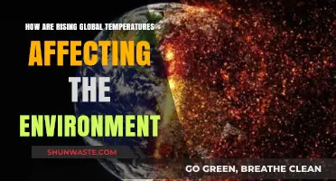 Rising Global Temperatures: Devastating Environmental Impacts and Urgent Solutions