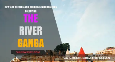 Ganga's Pollution: Religious Rituals and Their Impact