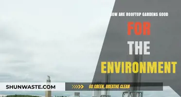 Green Roofs: Eco-Friendly Benefits of Rooftop Gardens for Urban Sustainability