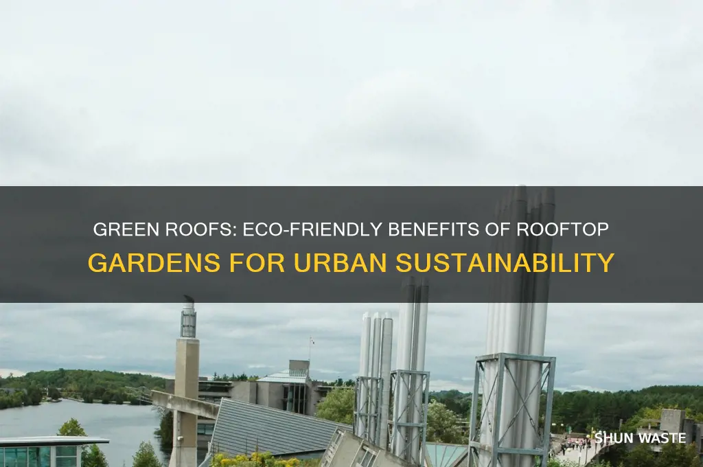 how are rooftop gardens good for the environment